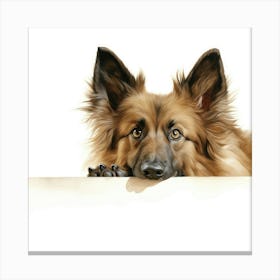 German Shepherd Dog Looking At A Blank Wall Canvas Print