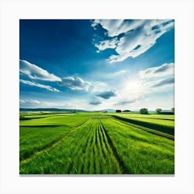 Green Field With Blue Sky Canvas Print