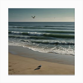 Seagull On The Beach 2 Canvas Print