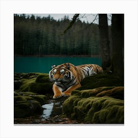 Tiger 1 Canvas Print