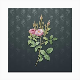 Vintage Mossy Pompon Rose Botanical on Slate Gray Pattern n.0523 Canvas Print