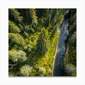 Fresh Springtime View Of A Tall Spruce Pine Tree Located In A Breathtakingly Scenic Rural Park In S (2) Leinwandbild