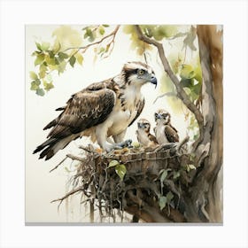 Osprey Nest 3 Canvas Print
