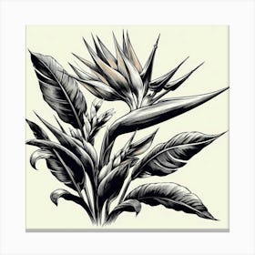 Bird of paradise flower 2 Canvas Print