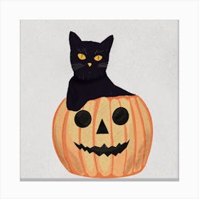Black Cat In Pumpkin Canvas Print