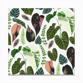 Tropical Leaves White Canvas Print