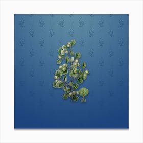 Vintage Spathula Leaf Thorn Flower Botanical on Bahama Blue Pattern n.1282 Canvas Print