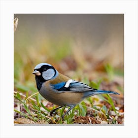 Blue Tit 45 Canvas Print