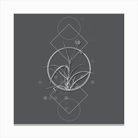 Vintage Spiderwort Botanical with Line Motif and Dot Pattern in Ghost Gray n.0247 Canvas Print