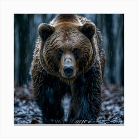 Grizzly Bear In The Rain Canvas Print