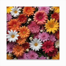 Colorful Flowers - Flower Stock Videos & Royalty-Free Footage Canvas Print