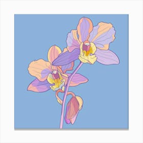 Orchids 17 Canvas Print