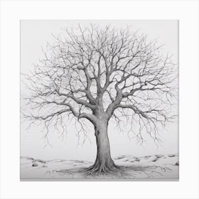 Bare Tree 7 Canvas Print