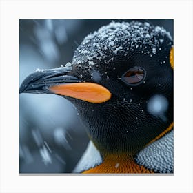 King Penguin 23 Canvas Print