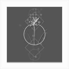 Vintage Spanish Iris Botanical with Line Motif and Dot Pattern in Ghost Gray n.0155 Canvas Print