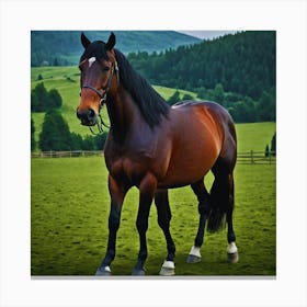 Horse Standing In A Field Canvas Print