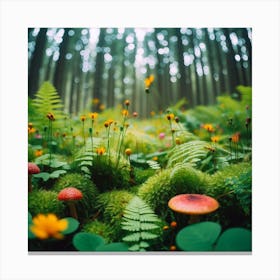 Mossy Forest 2 Canvas Print