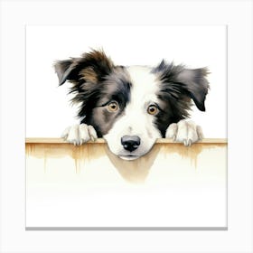 Border Collie 7 Canvas Print