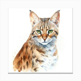 Bengal Marbled Cat Portrait 1 Canvas Print