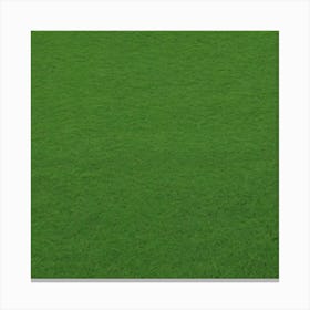 Grass Field 6 Canvas Print