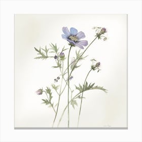 Blue Cosmos Canvas Print