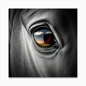 Horse Eye 1 Canvas Print