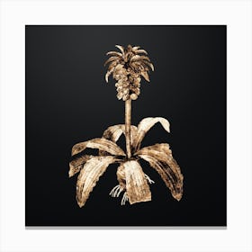 Gold Botanical Eucomis Regia on Wrought Iron Black n.4840 Canvas Print