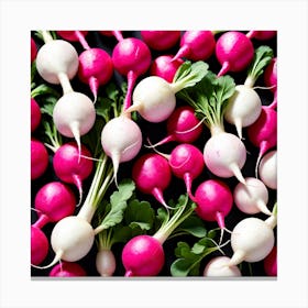 Radishes 11 Canvas Print