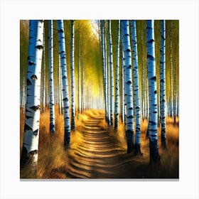 Birch Trees 62 Canvas Print
