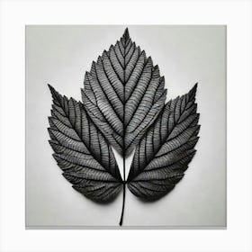 Black Leaf 1 Canvas Print