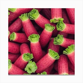 Radishes 73 Canvas Print