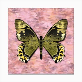 Mechanical Butterfly The Battus Madyes Tucumanus On A Pink Background Canvas Print