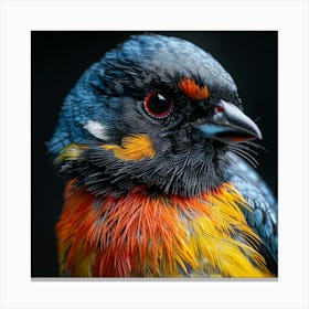 Colorful Bird 3 Canvas Print