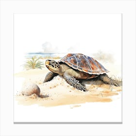 Baby Sea Turtle Watercolour 2 Canvas Print