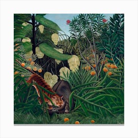 Fight Between A Tiger And A Buffalo, Henri Rousseau Canvas Print