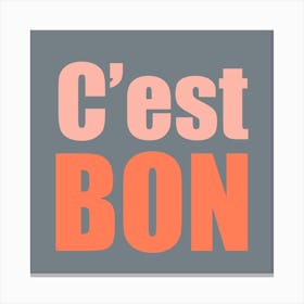 Cest Bon Grey And Pink Square Canvas Print