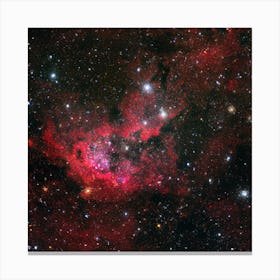 Carina nebula 3 Canvas Print