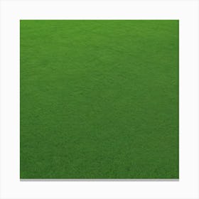 Green Grass Background 17 Canvas Print