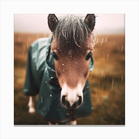 Little Pony In The Rain 1 Canvas Print