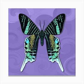 Mechanical Butterfly The Urania Leilus On A Purple Background Canvas Print