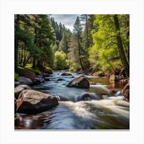 River In The Forest Canvas Print