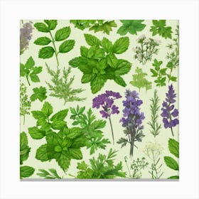 Seamless Pattern Of Herbs Canvas Print