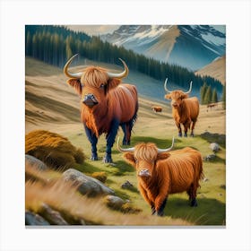 Highland Cows 2 Canvas Print