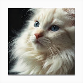 White Cat With Blue Eyes Canvas Print