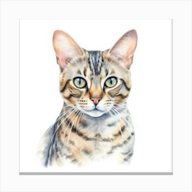 Cashmere Bengal Cat Portrait 2 Canvas Print