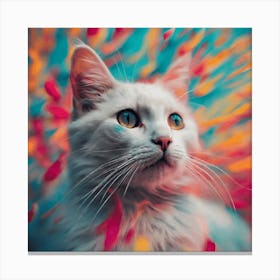 Abstract Cat Photography Stock Videos & Royalty-Free Footage Canvas Print