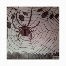 Spider Canvas Print