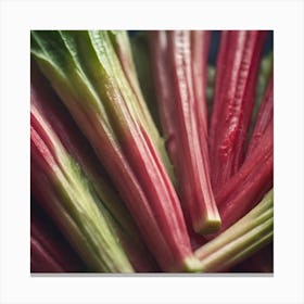 Rhubarb 95 Canvas Print