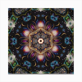 Mandala 79 Canvas Print