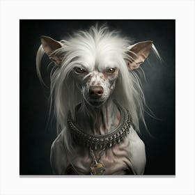 Chihuahua 2 Canvas Print